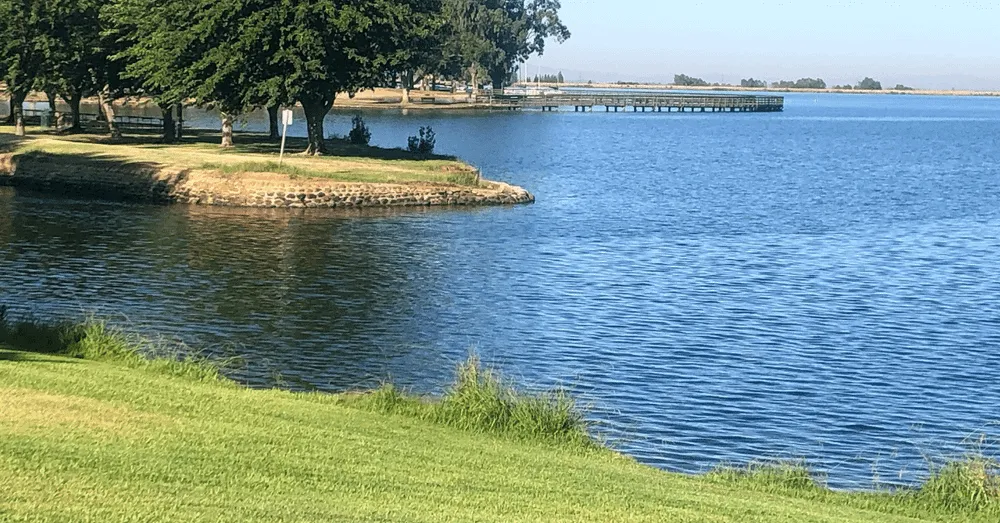 A scenic view of a wide blue lake with a grassy green bank in the foreground, a stone-lined point with shady green trees, and a wooden pier stretching over the water in the distance.