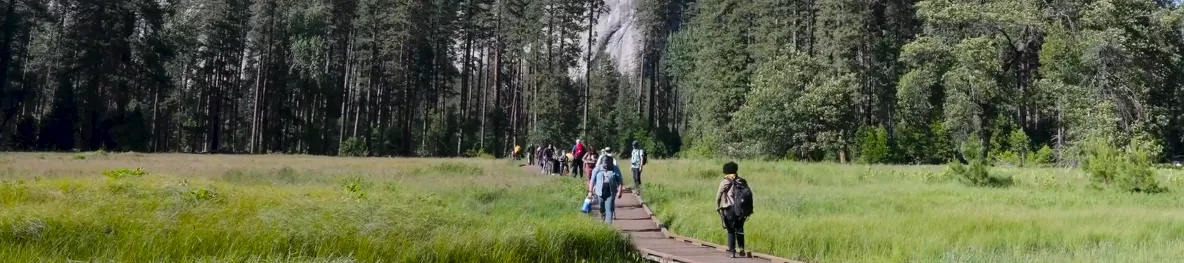 Visitors walk a boardwalk trail across a Yosemite meadow ringed by pines