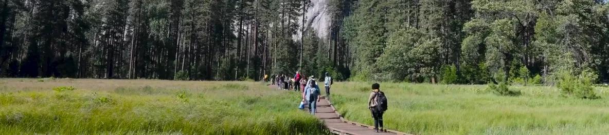 Visitors walk a boardwalk trail across a Yosemite meadow ringed by pines